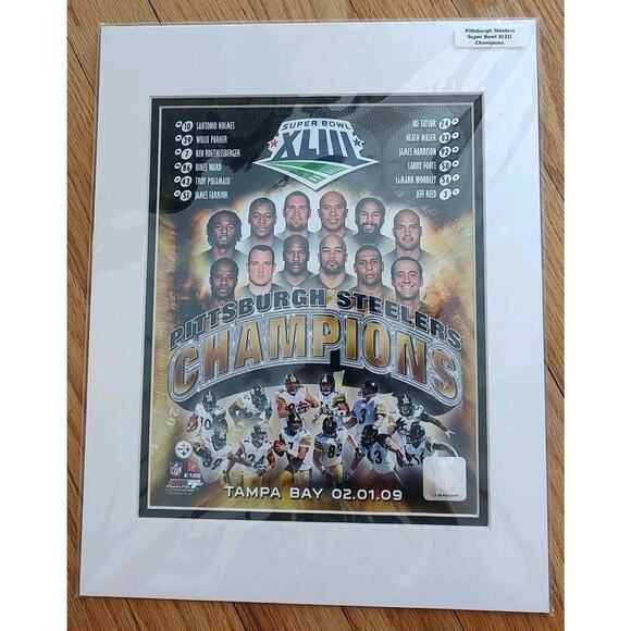 Pittsburgh Steelers 2009 Superbowl Champs Photo - Picture 1 of 4